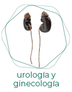 Urología y Ginecología